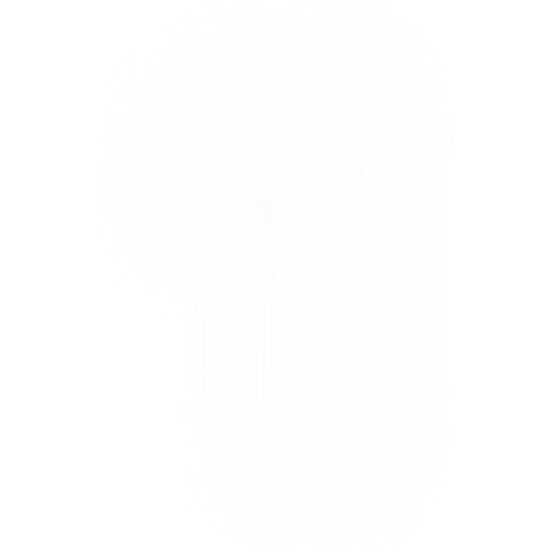 1n1
