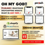 Readymade Dropshipping Website